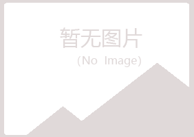 兴山县迷失因特网有限公司